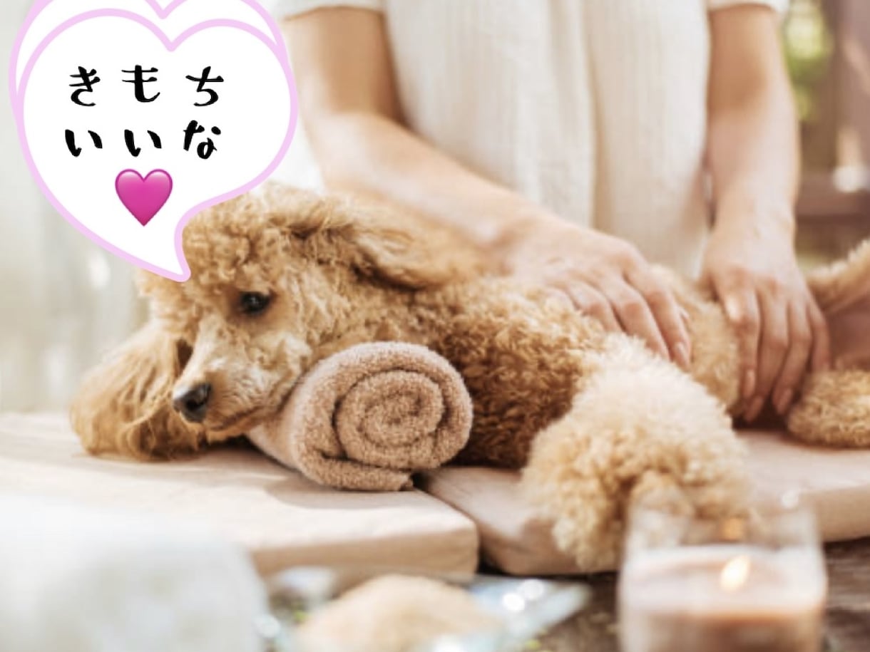 心地よいレイキエネルギーを30分間お届けします 定期購入特典もあります|•'▽'•)੭ イメージ1