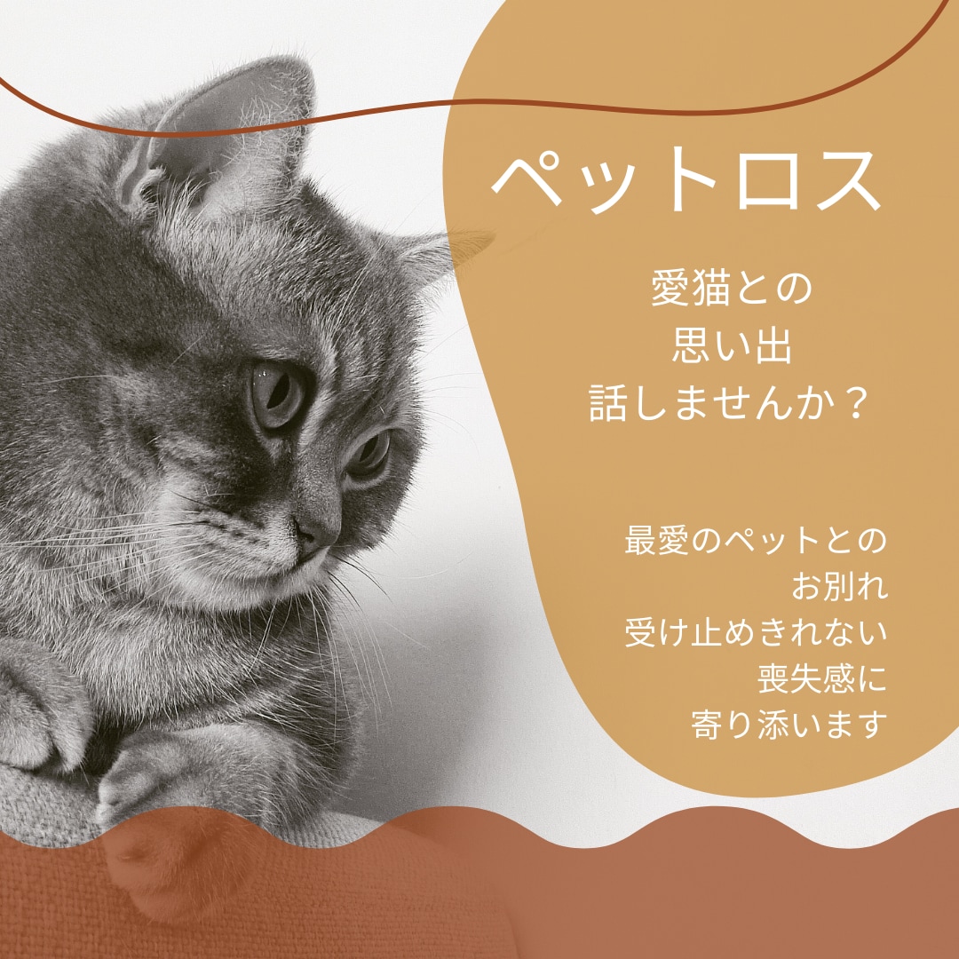 猫ペットロス～大切な思い出話、お聴きします ペットロス・猫・楽しかった思い出、悲しい気持ち話しませんか？ イメージ1