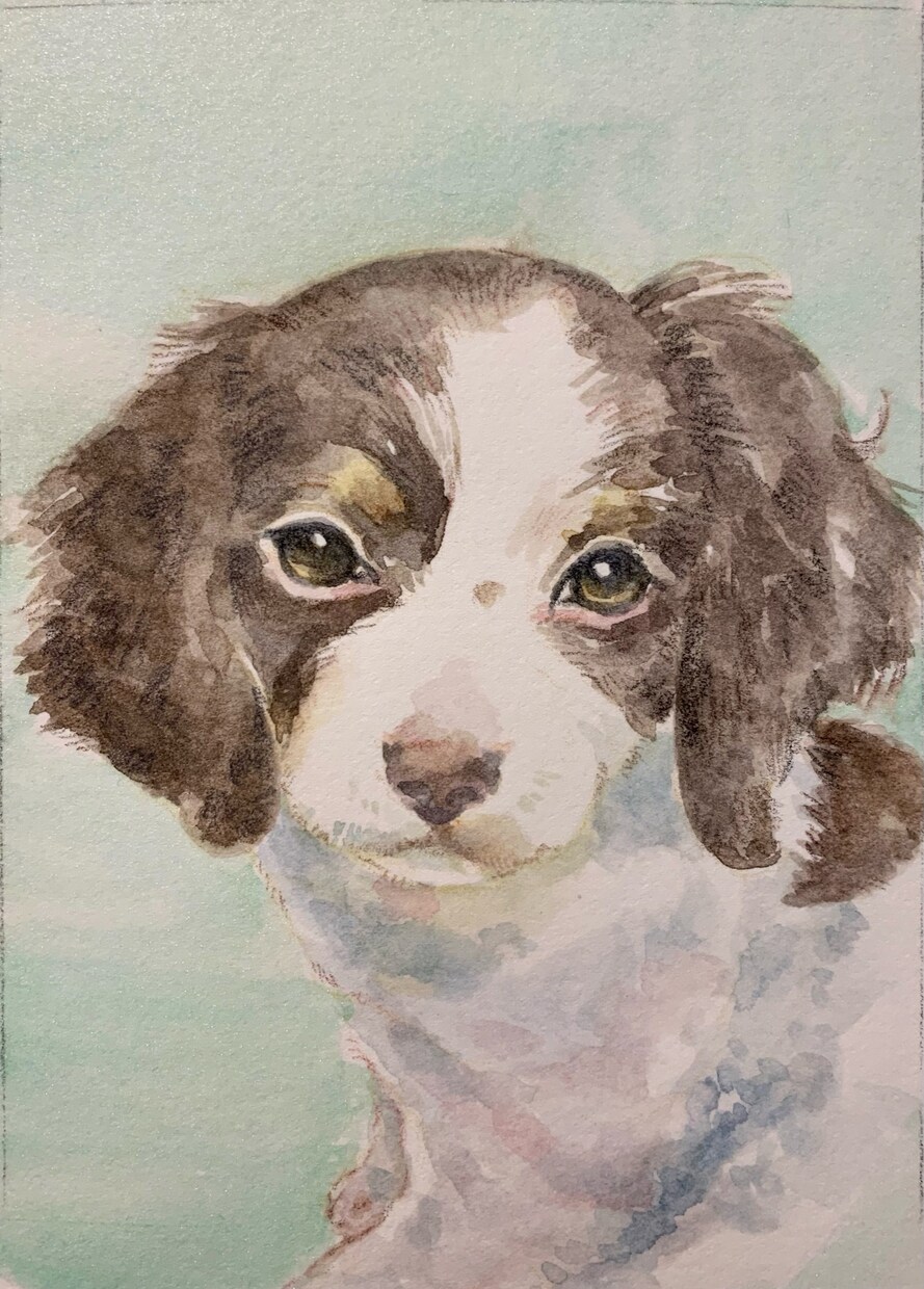 ふんわりかわいいペットの似顔絵描きます ★やわらかな色合いの水彩色鉛筆画 イメージ4