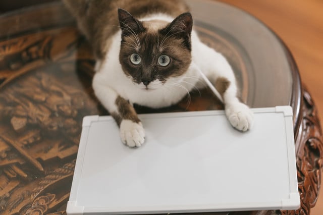 商品説明やキャッチコピーを作成します Amazon、楽天、ヤフオク、メルカリ、プロフィール等 イメージ1