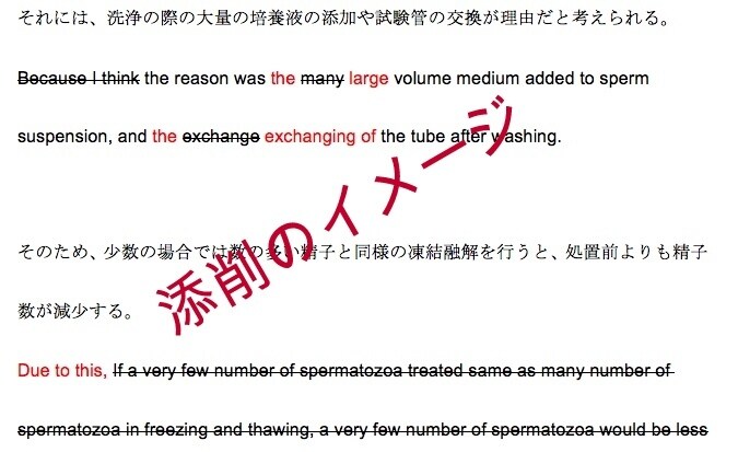 工学博士があなたの英文を添削します 学術雑誌に投稿論文など、専門用語多い文書をチェックします イメージ1