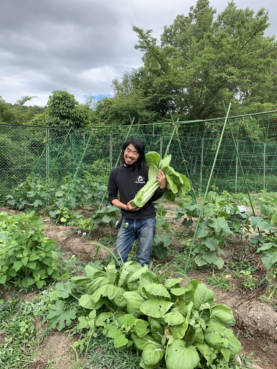 植物の「これからどうしたらいい？」に答えます 主に家庭菜園などの有機野菜作りのアドバイスを行います！ イメージ2