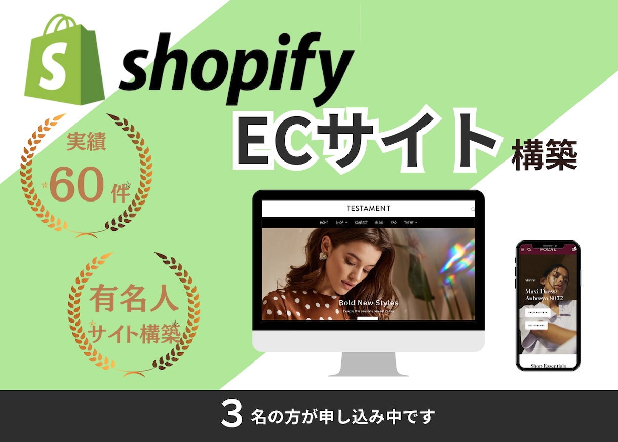 実績経験豊富　ShopifyでECサイト作成します 初心者でも大丈夫 有名人のサイトも手がけた私がお手伝いします イメージ1
