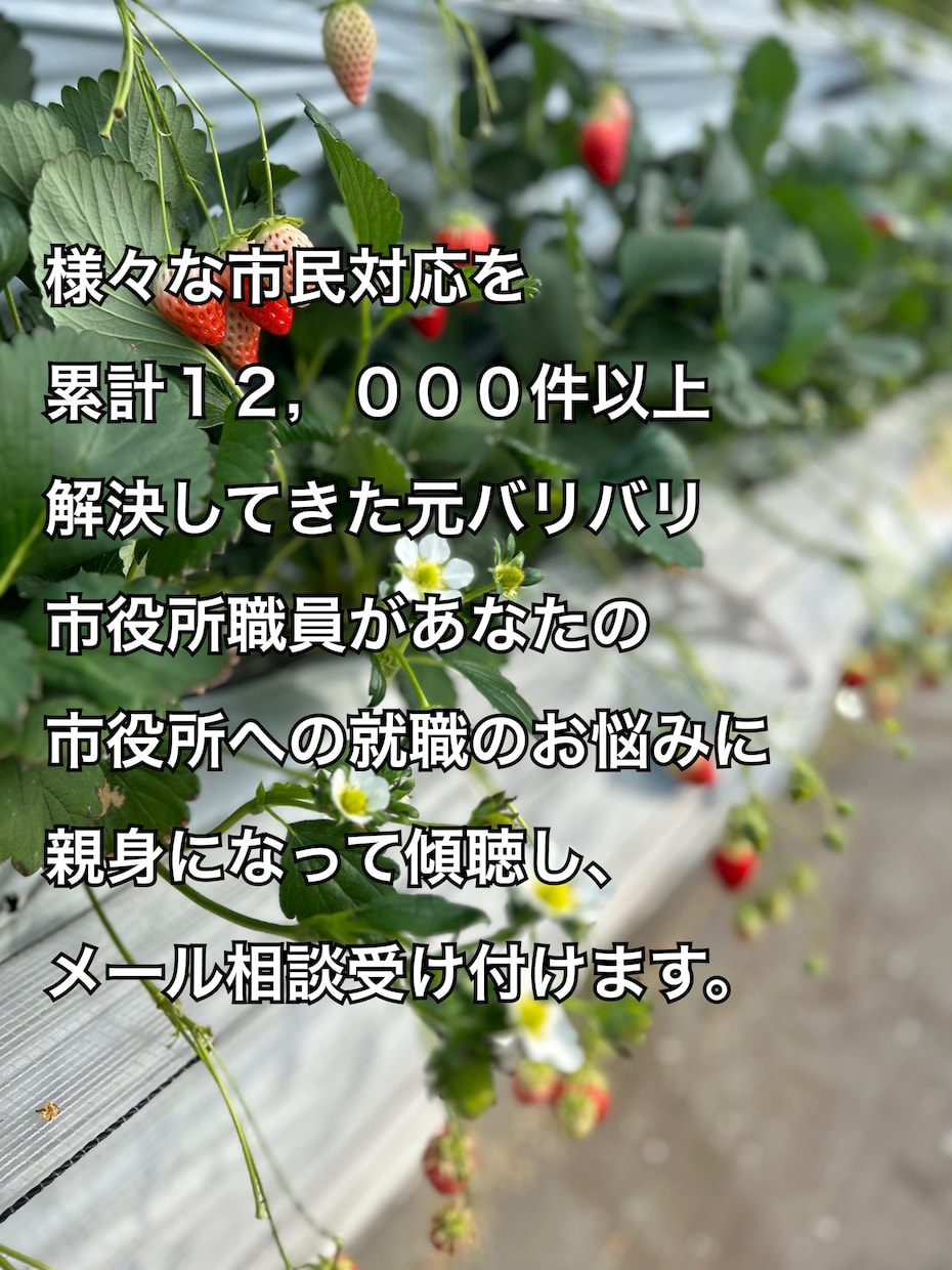 市役所への就職のお悩みメッセージ相談承ります 市民対応累計12,000件以上元市役所職員が傾聴します。 イメージ1