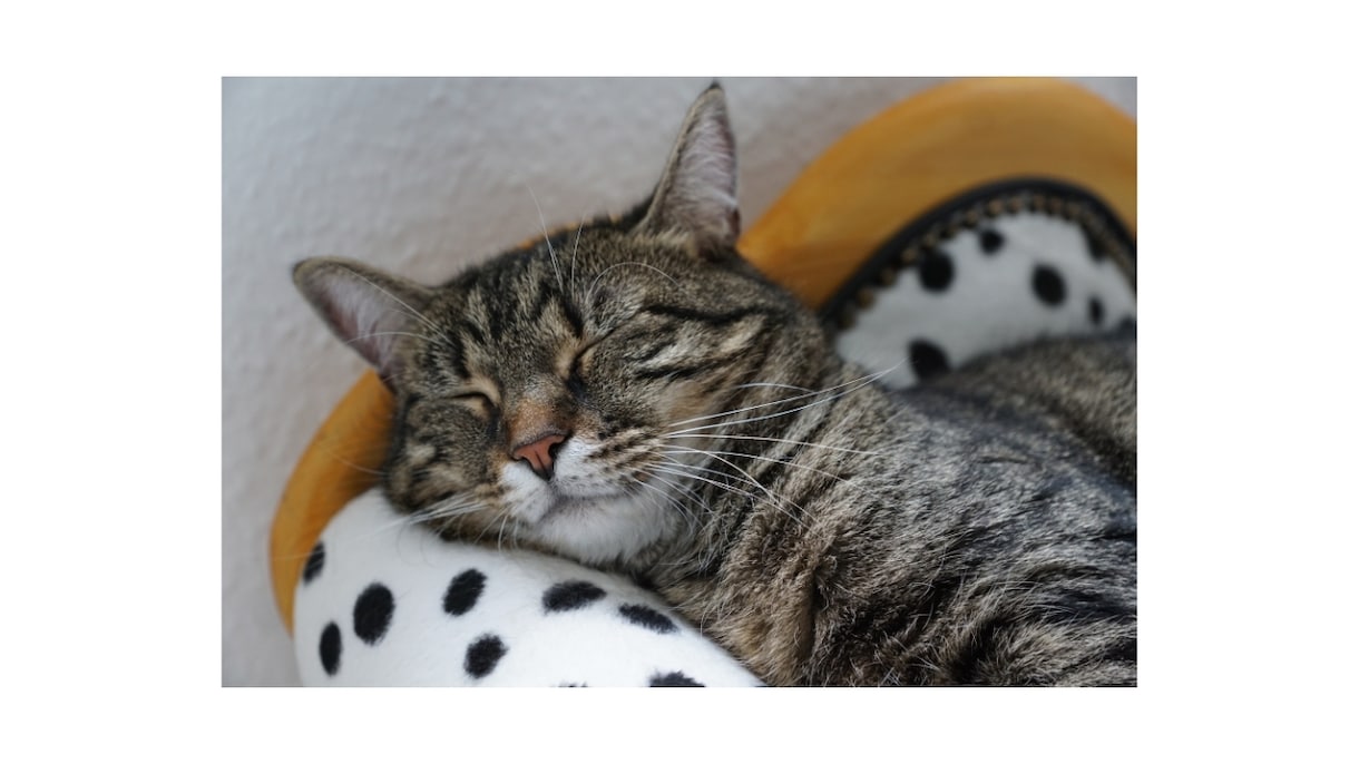 今日も眠れるかな…そんな不安を解消します 毎日快眠の私が寝るコツを教えます！ イメージ10
