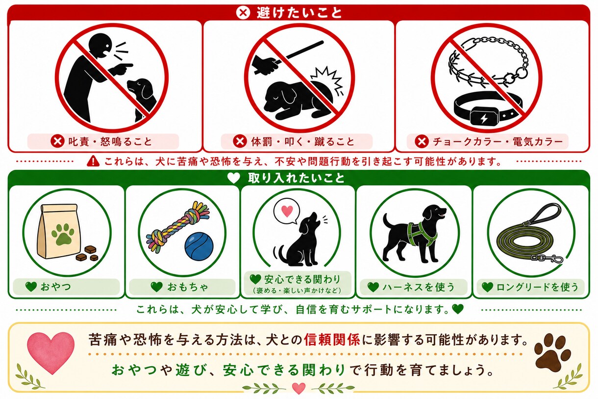 犬の気持ちに寄り添ったトレーニング方法を提供します やさしさと科学で、信頼を育むドッグトレーニング イメージ2