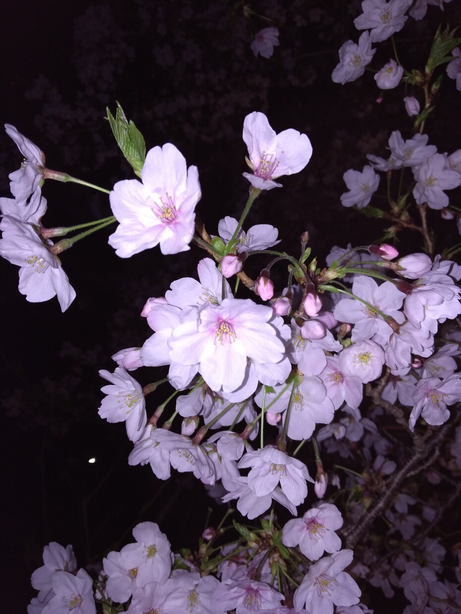 ささいなお悩みから何でもききます 家族との悩みって、どうしても避けられませんよね イメージ3