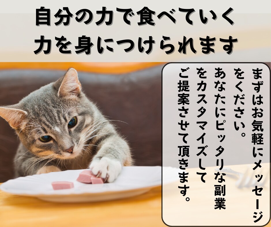 ネット副業を成功に導くオーダーメイドコンサルします 初心者でも稼ぐための力と戦略が手に入る！販売自動化も可能！ イメージ10