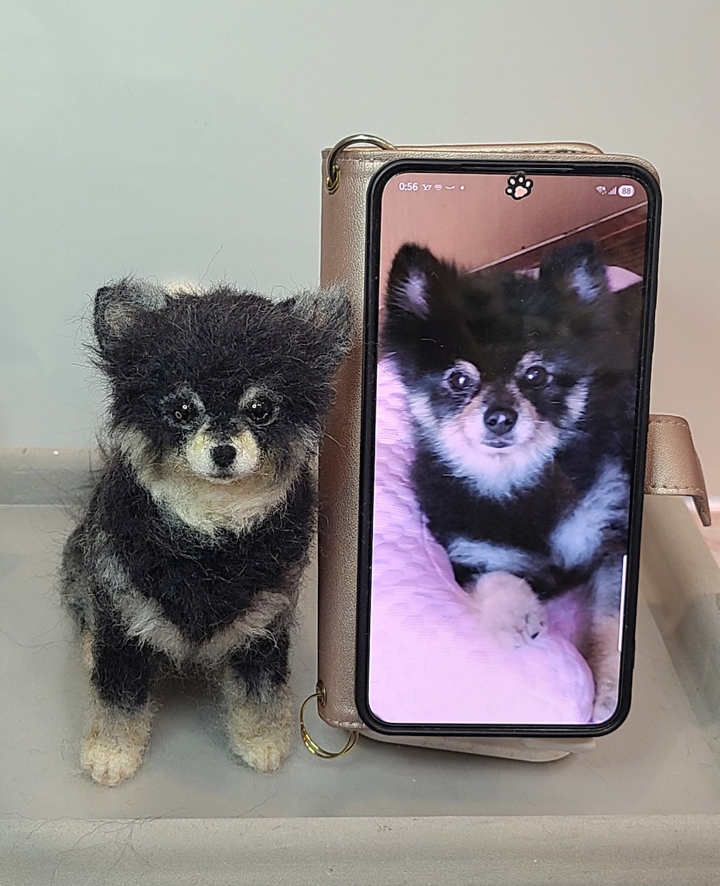 大切な愛犬さんをお作りします うちのコ羊毛フェルトワンコオーダー イメージ5