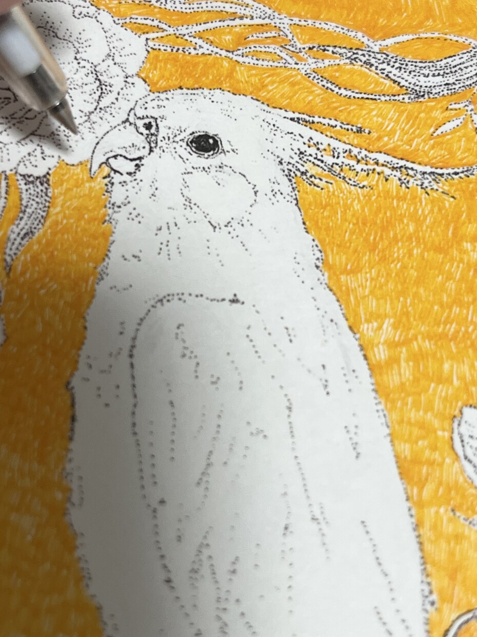 動植物の点描イラストを描きます ペン画で繊細な線と点の絵を描きます！ イメージ4