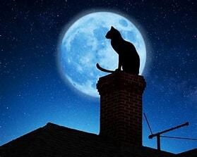 数秘占いであなたの人生を豊かにします 数秘でひも解く人間関係のお悩み イメージ1