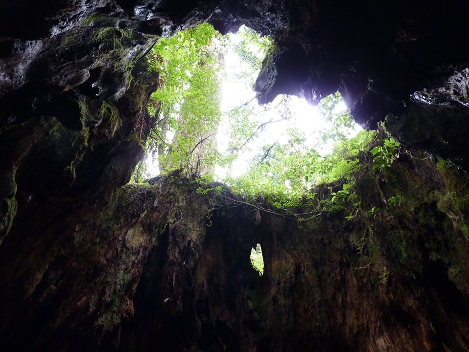 リフォーム経験20年間を活かし収納コーチします 収納をオシャレに素敵なお部屋に変えたい方 イメージ2