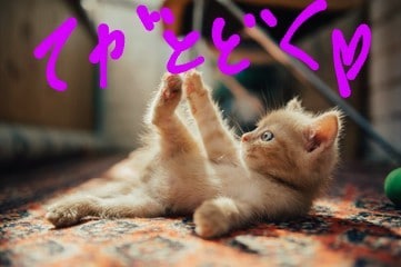 ほんの1分でも！！貴方のお気持ち受け止めます 人恋しい時、誰かに聞いてほしい時、どんな事でもお気軽に♪ イメージ4