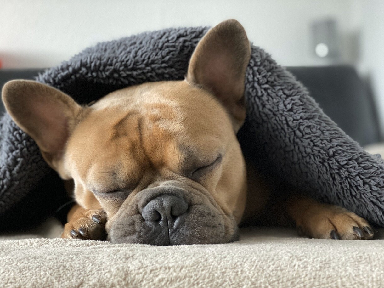科学的に正しい睡眠の質の上げ方を教えます どれだけ睡眠に良い習慣やっても眠りが浅いなどの悩み解決 イメージ1
