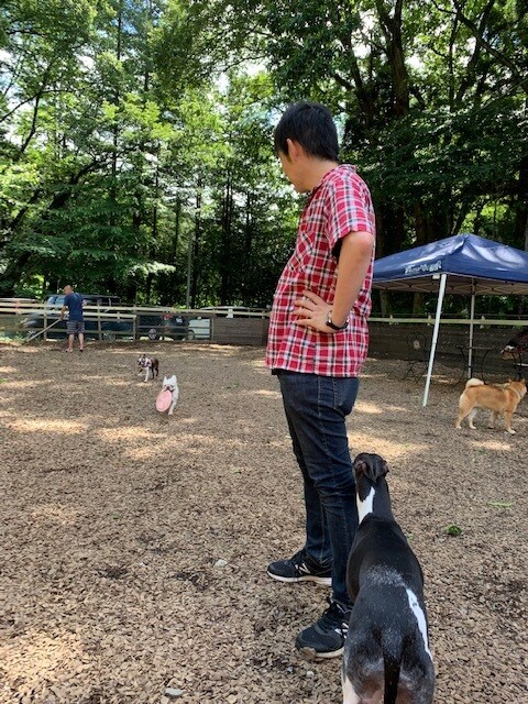 犬、猫の飼い方・しつけ相談をさせていただきます 元動物王国スタッフ、元ショップ10年勤務 イメージ1