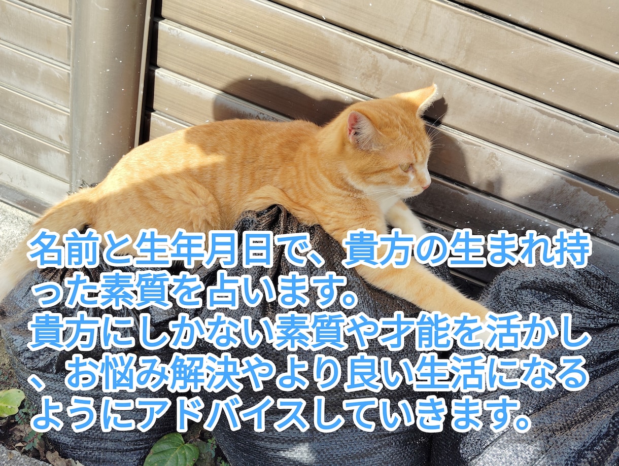 名前と生年月日を使って占います 貴方にしかない才能や素質で今より良い環境に自分らしく！ イメージ1