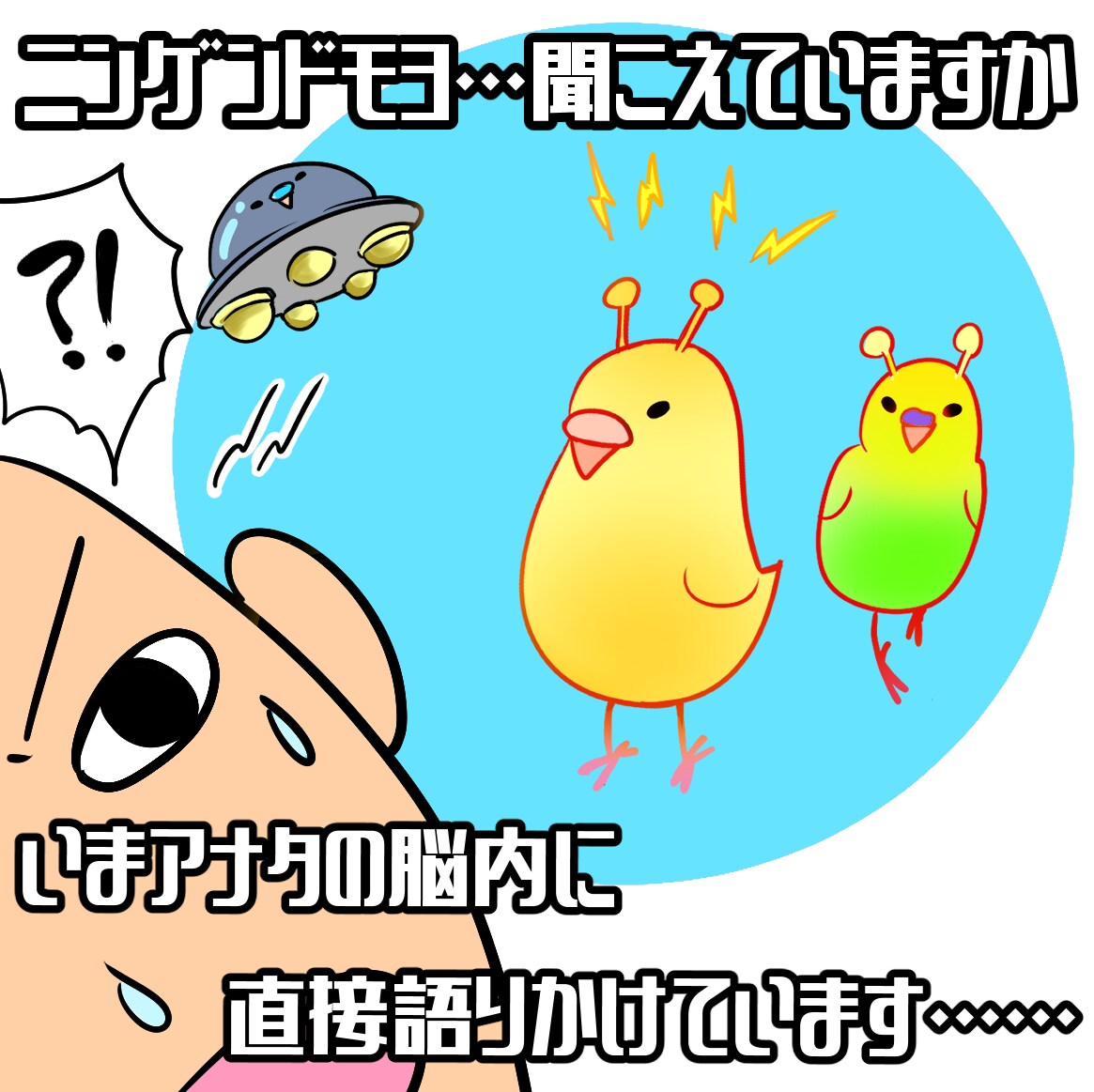 コメントつき！小鳥丸アイコン描きます 可愛いペットちゃんをモデルにアイコン作成します イメージ5