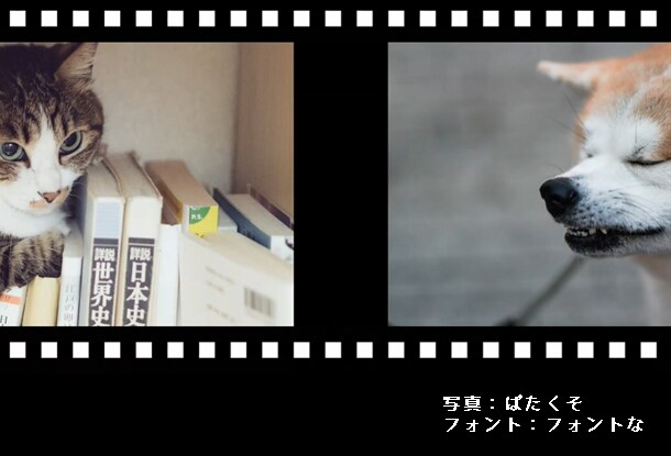 かんたん動画作成を行います あなたのご要望に応じて動画を作成します！ イメージ1