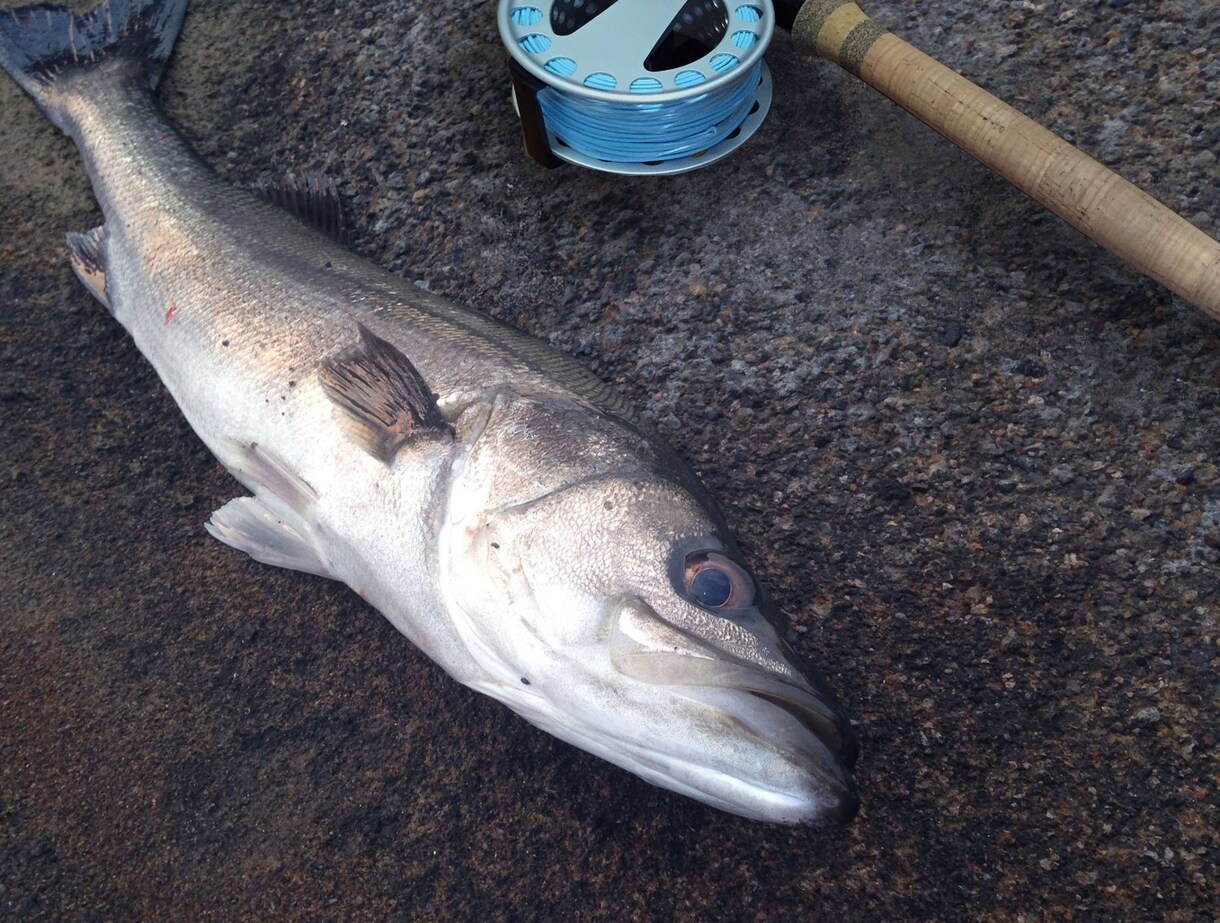 フライ 毛針の巻き方教えます 経験則で対象魚別のフライパターンの提案 イメージ7