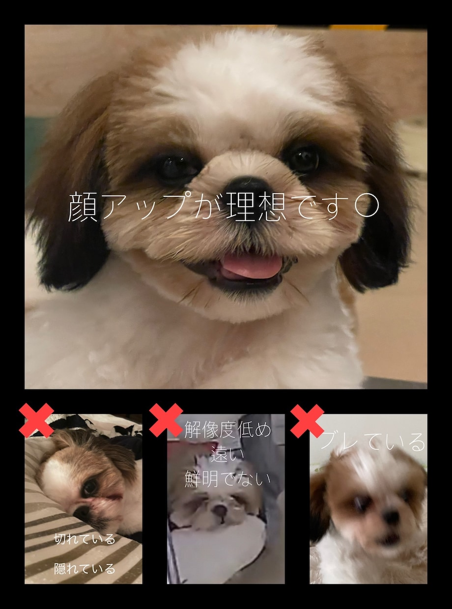 ペット・動物の【鉛筆画】を作成します 犬猫小鳥うさぎなど、プレゼントやご自宅用に。 イメージ2