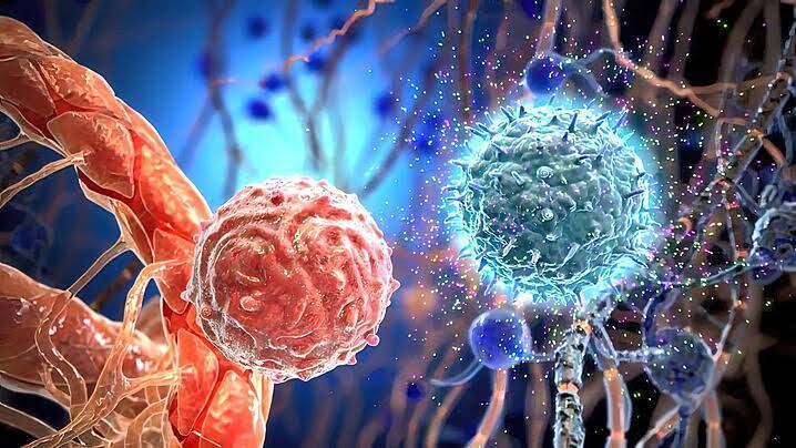 免疫力を高める生活習慣を教えます 科学的根拠に基づく実践しやすい免疫力アップ法 イメージ4
