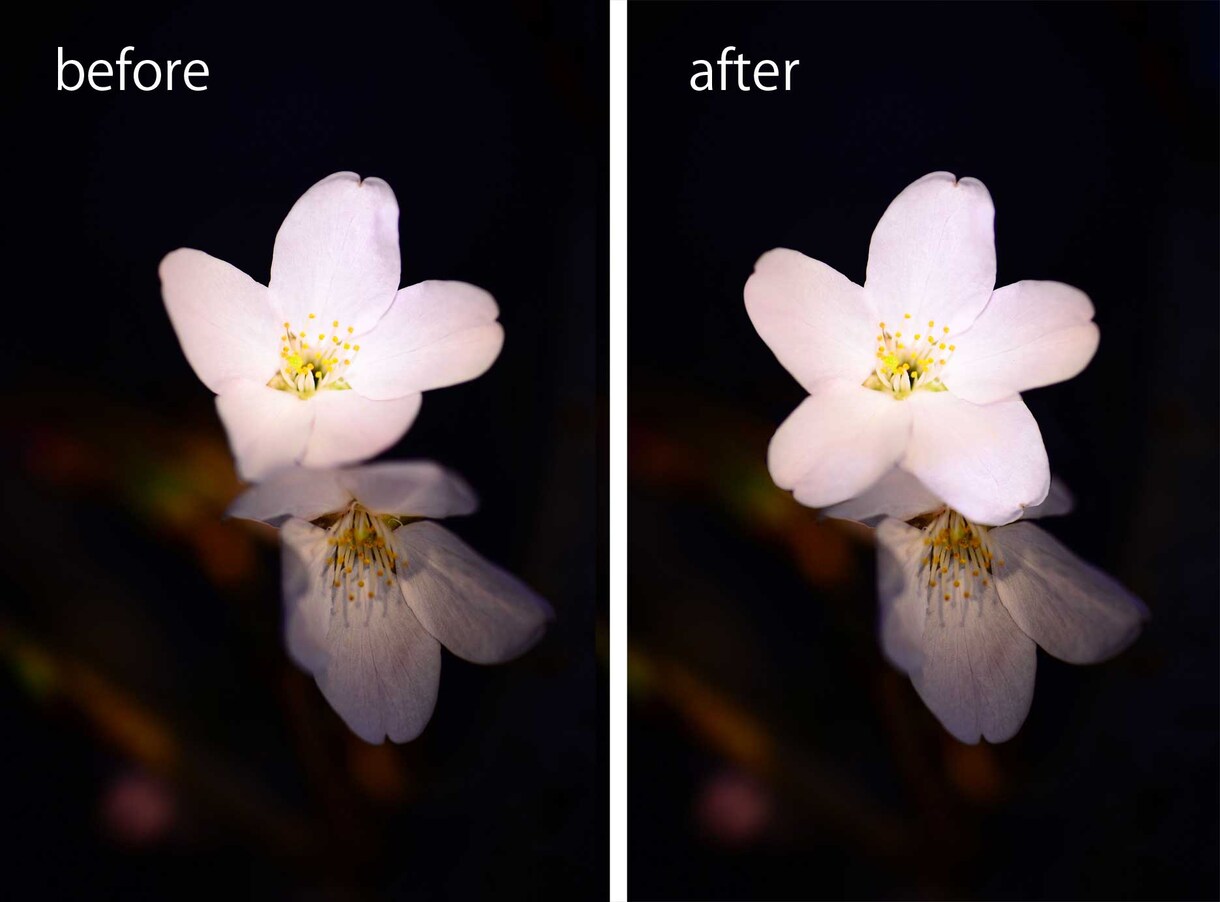 photoshop使い方、わからないこと教えます 期間限定で実際に作業している録画動画を見せます！ イメージ1