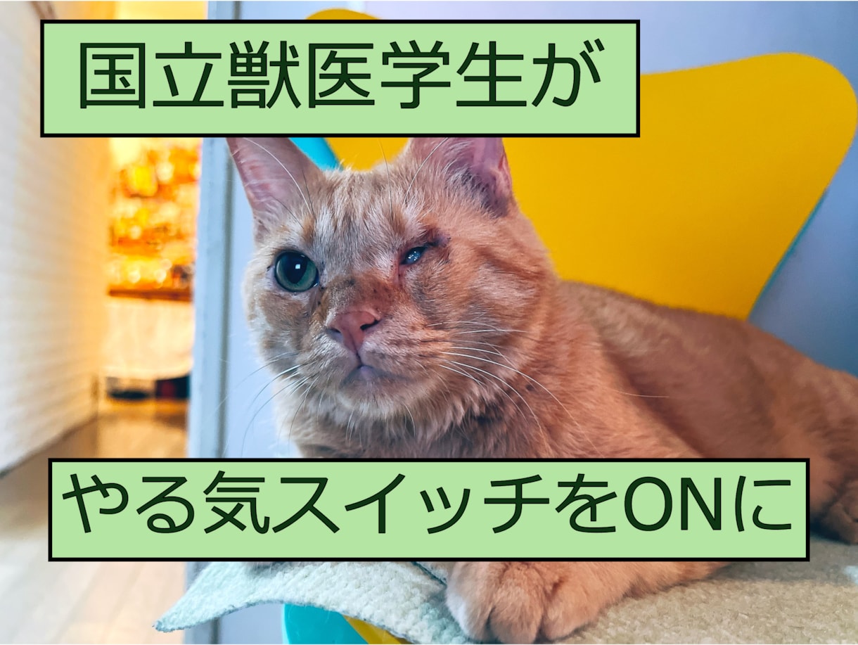 中学生・高校生のやる気スイッチをオンにします 毎週30分の英単語テストで勉強の習慣を付けさせませんか？ イメージ1