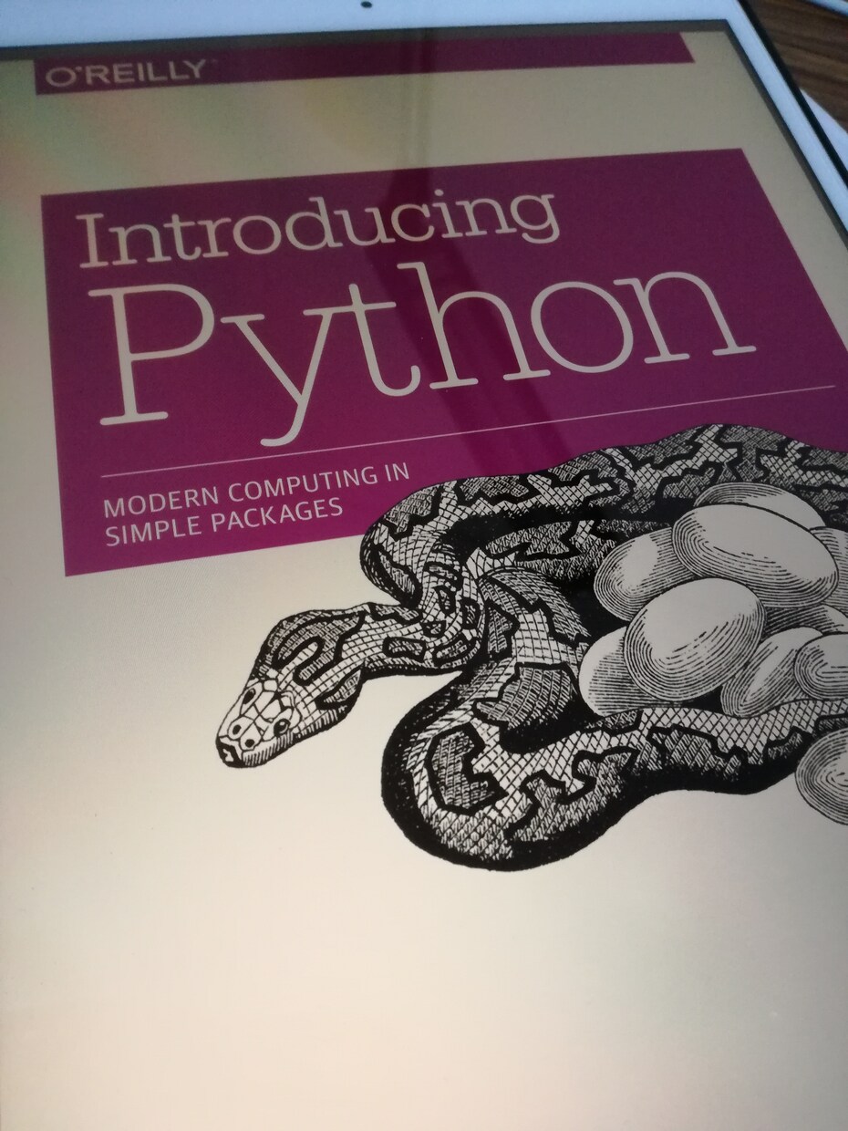 Python始めたい方相談乗ります プログラミングが初めての方に丁寧に教えます！初心者向け！ イメージ1