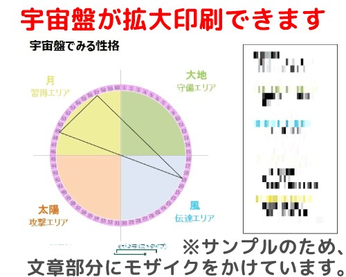 算命学ソフトを使って命式を簡単に出します 生年月日を入力するだけで、誰でも鑑定することができます！ イメージ5