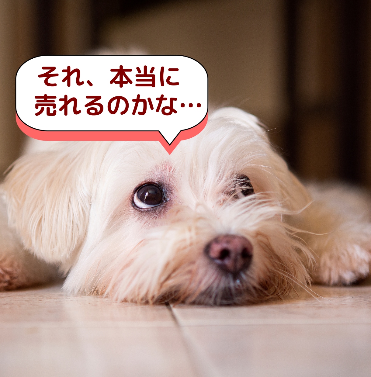 即販売できるコンテンツをあなたに代わって作成します 忙しくても大丈夫！あなたは販売するだけでＯＫ！ イメージ5
