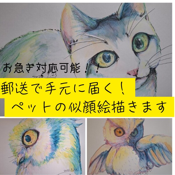 アナログイラストでペットの似顔絵を作成します 郵送価格込み、お急ぎ対応可能。3匹目から追加料金がかかります イメージ1