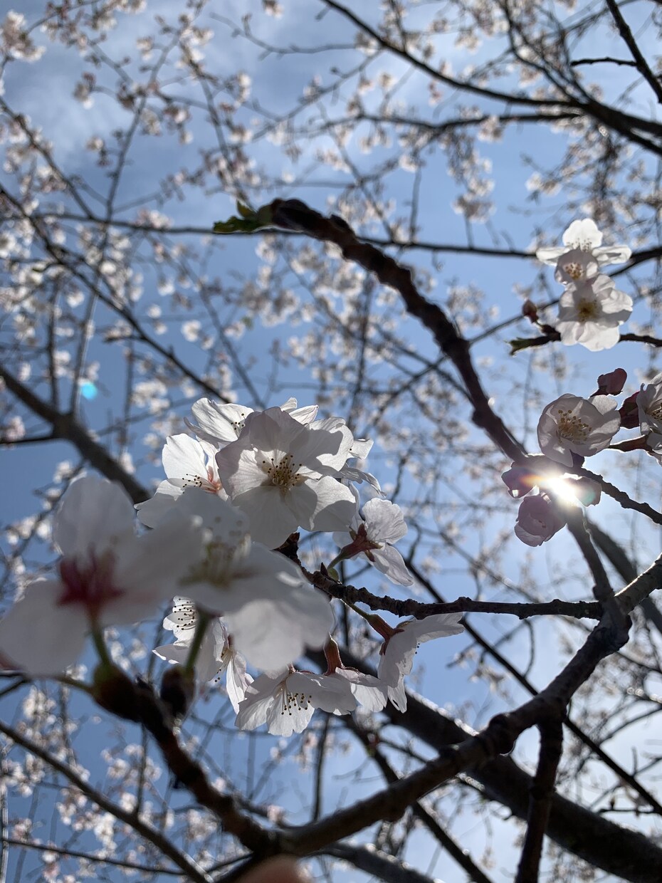 貴方様のお話聴きます 愚痴を聴いて欲しい 何でもいい褒めて 話を聴いて欲しいなど イメージ1