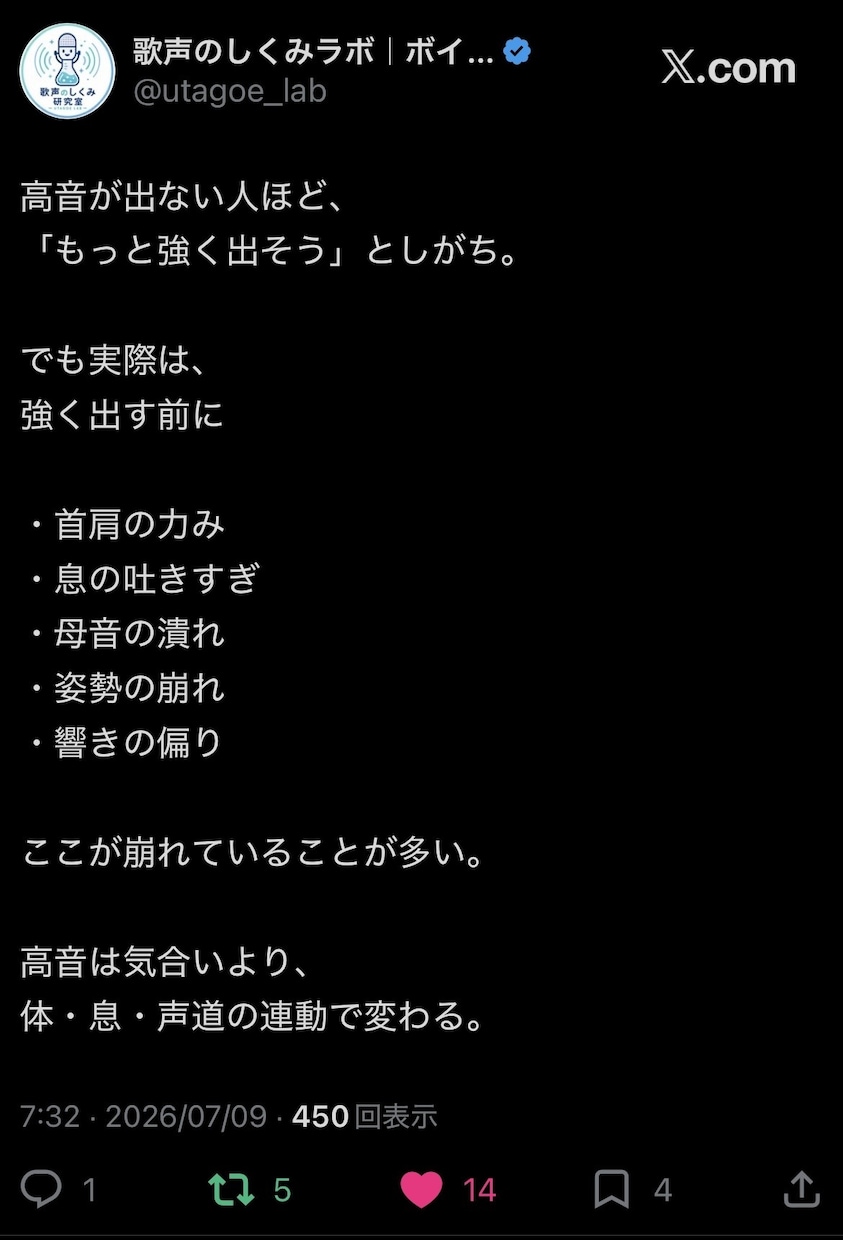 現役講師が歌を基礎から1ヶ月サポートします 対面不要！自宅で基礎から歌を学べます イメージ3