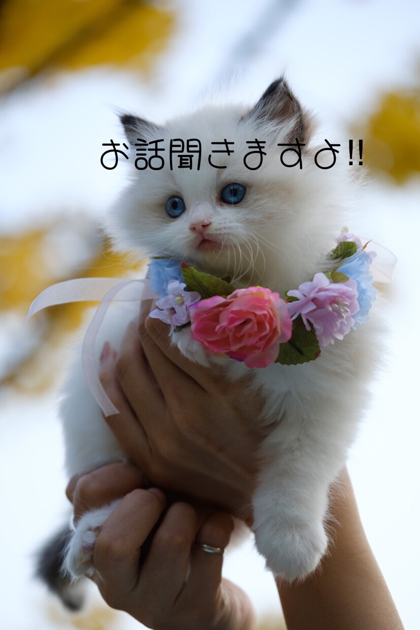 色んな人生経験をしてきましたので貴方の役に立ちます 44歳バツ2主婦波瀾万丈な人生を生きてきたので寄り添えます！ イメージ1
