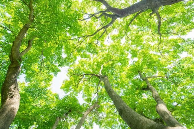 あなたの誰にも言えない悩み、私が聞きます あなたと接点のない私に、その悩み聞かせてください。 イメージ1