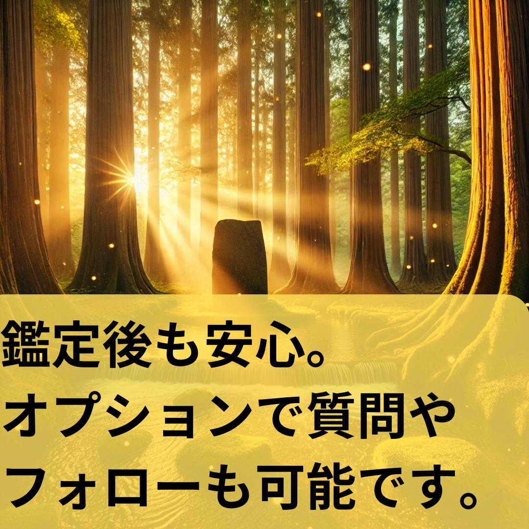 霊感霊視【事前予約制】30分チャット鑑定します |タロット占い|霊視・霊感|お仕事・人間関係・未来予測 イメージ10