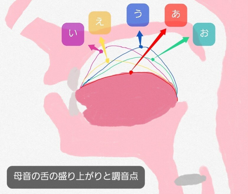 声優訓練を使った６回短期集中ビジネスボイトレします 現役声優/ボイストレーナー歴10年以上の講師によるレッスン イメージ5