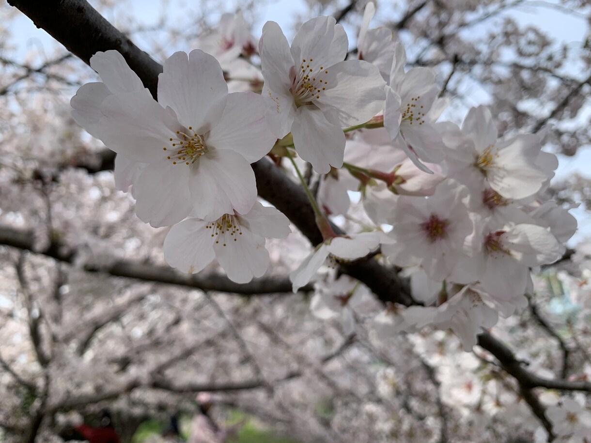 悩み、迷い、愚痴、何でも聞きます 嫌なこと、苦しいこと、もやもや、話して楽になりましょう！ イメージ1