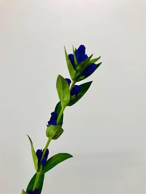 心が辛い皆様をサポートします 鬱な気分、夜に眠れない、そんな時には私をご利用ください イメージ1
