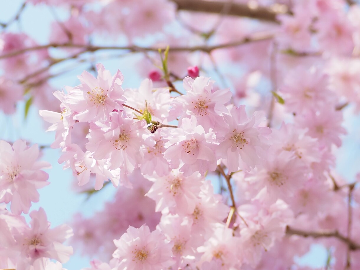 一眼レフで撮影した風景写真素材を提供します サムネイルにいかがですか？20枚まで3000円！ イメージ5