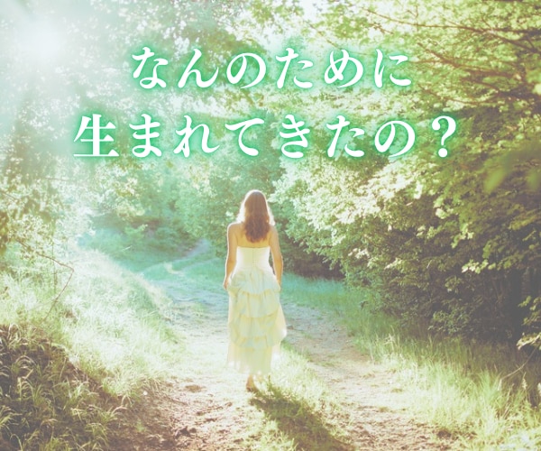 あなたの使命/才能/人生のテーマ鑑定しお伝えします なんで私だけ？生きづらい…そんな自分自身を知って心軽やかに イメージ1