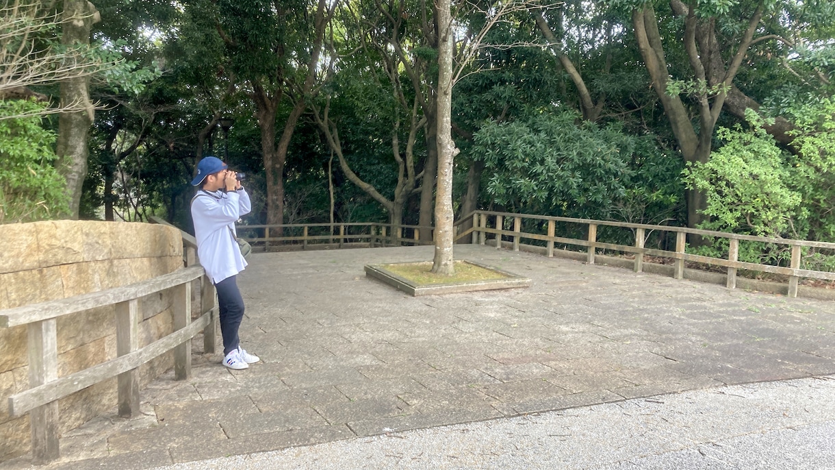 どんな方でも、気軽に依頼出来ます とても面倒な作業を、もっと楽にもっと安く。 イメージ1