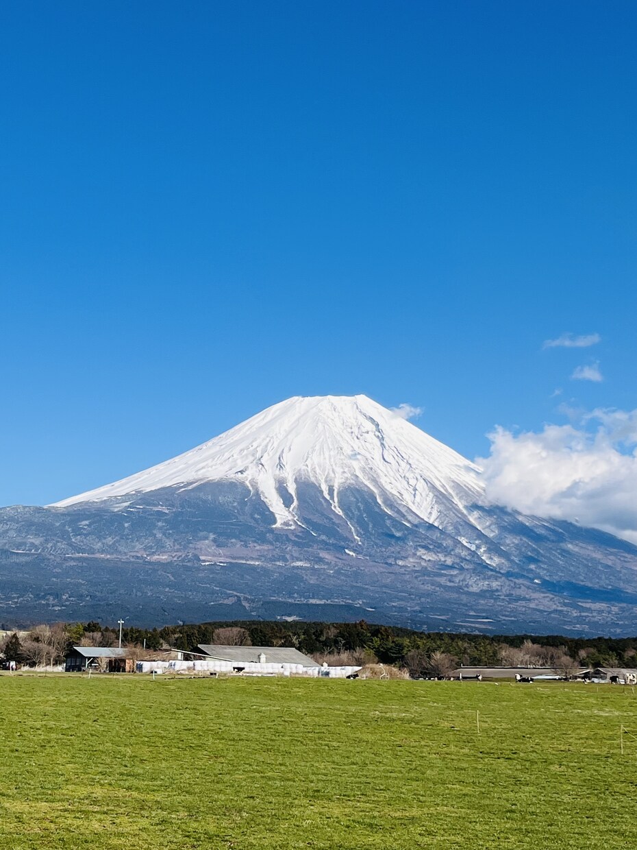日々のちょっとしたお悩み占います 身近な人に相談しにくい事も、タロット占いなら気軽にできます！ イメージ1