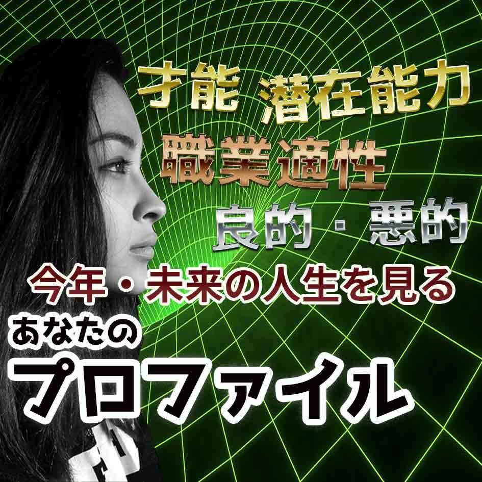 あなたをプロファイリングします 才能、潜在能力、職業適性、未来を知っていますか？ イメージ1