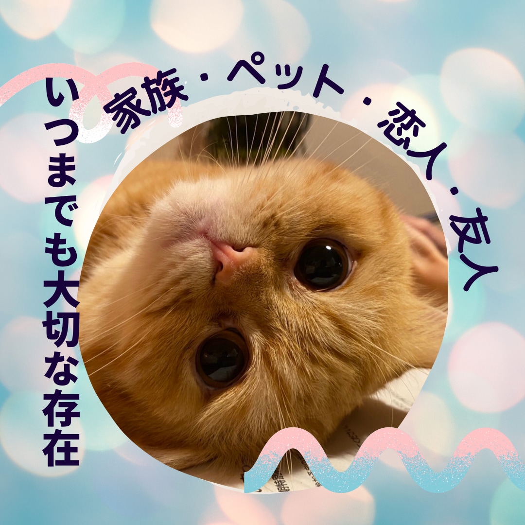 大切な家族ペット、恋人、友人の悩みを優しく聴きます 癒しの空間　ペットのお話　温かくお守り致します。 イメージ1