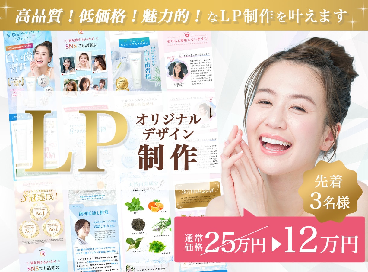 高品質×マーケティングに特化したLP制作いたします 【毎月先着3社様限定！】通常25万円→12万円にて制作 イメージ1