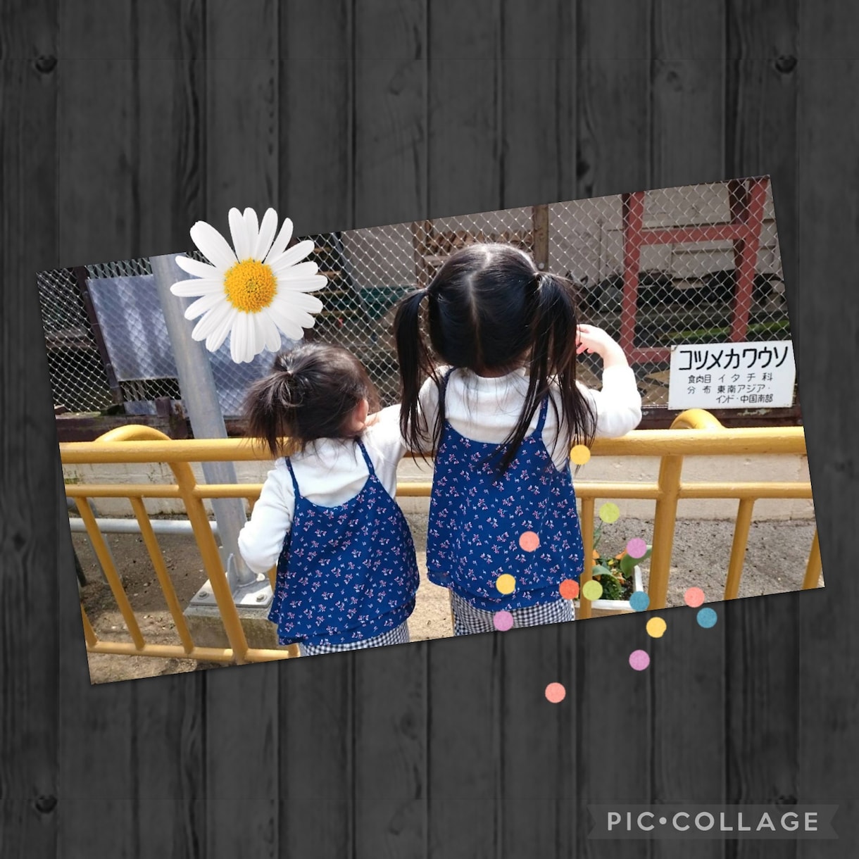 子育て経験豊富な私が＊教育相談のお悩み聴きます 。乳児期から反抗期まで幅広く対応し、疲れた心に寄り添います。 イメージ5