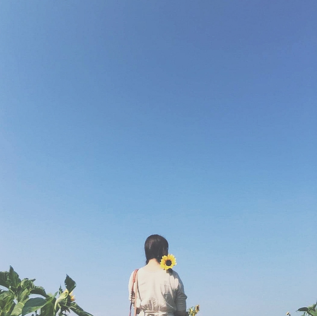 どんなMVも撮ります 音楽を届ける素敵な1本、作りませんか！ イメージ2