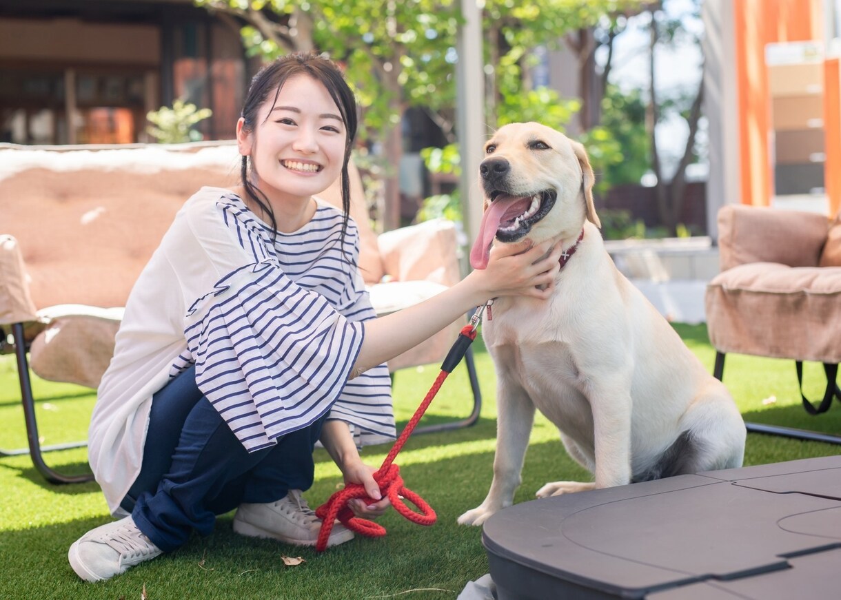 犬のしつけやお困りごとを解決します 犬のお困りごとは、犬の専門家に相談！ イメージ4