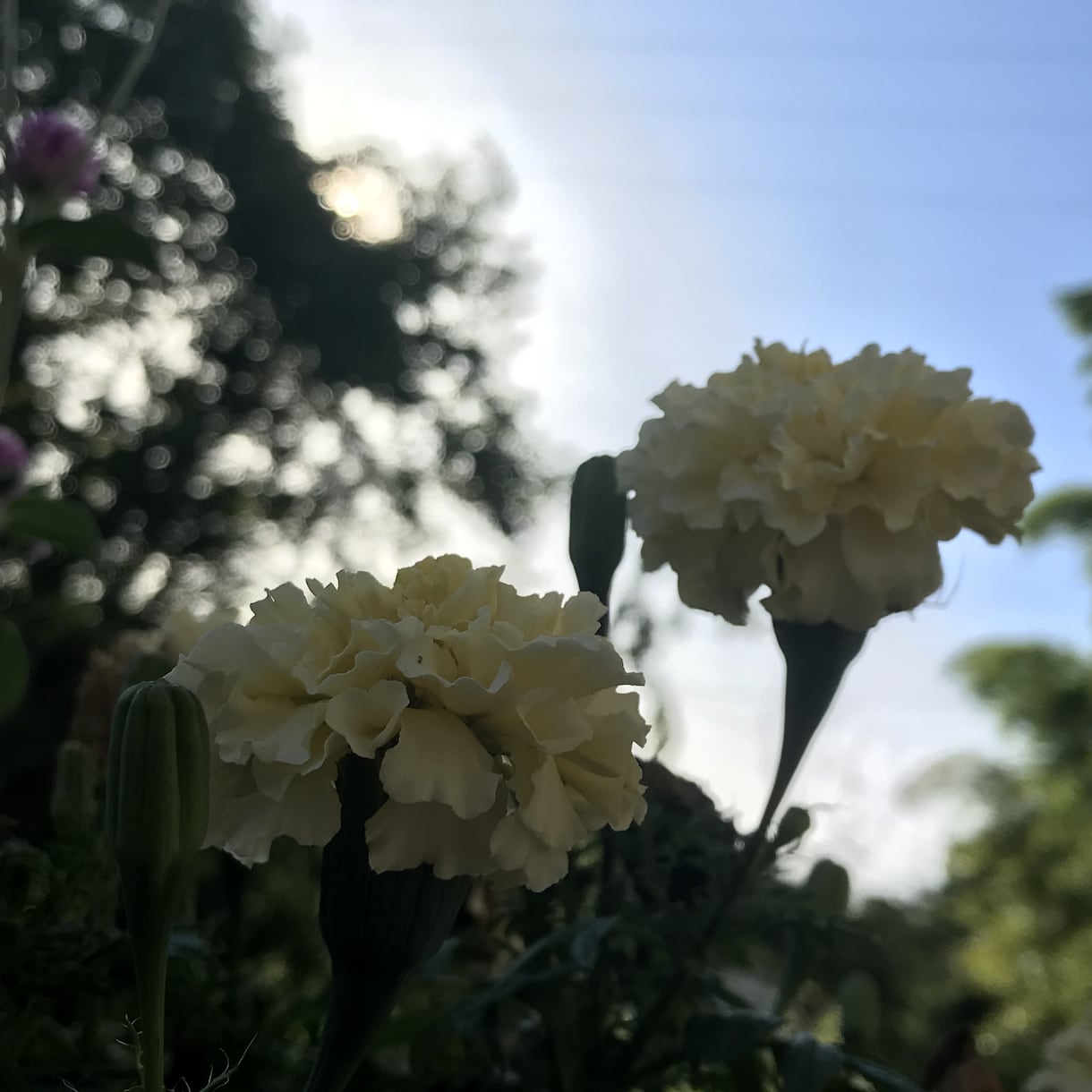 魅せる写真を作ります 自分の撮った写真を綺麗に見せたい方へ イメージ4